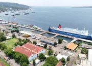 Pelabuhan Tanjung Wangi Beroperasi Normal di Tengah Antrean Ketapang-Gilimanuk, Pelindo Optimalkan Arus Logistik