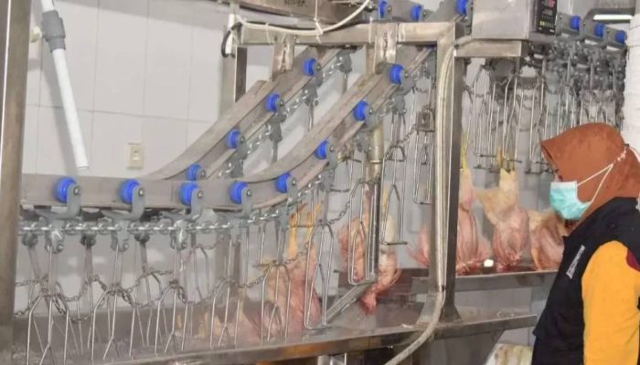 Surabaya Resmikan RPH Unggas Modern Berkapasitas 5.000 Ekor, Jaga Harga dan Higienitas.