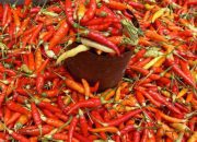 Pasokan Naik, Harga Cabai di Kediri Turun Drastis, Cabai Rawit Anjlok