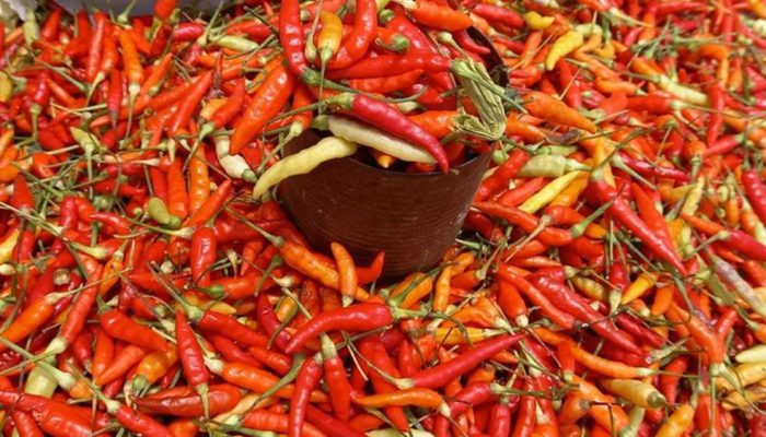 Pasokan Naik, Harga Cabai di Kediri Turun Drastis, Cabai Rawit Anjlok