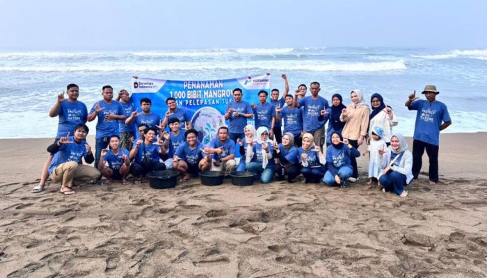 Pertamina: Konservasi Mangrove-Tukik Tingkatkan Keanekaragaman Hayati Pantai Kili-Kili Trenggalek