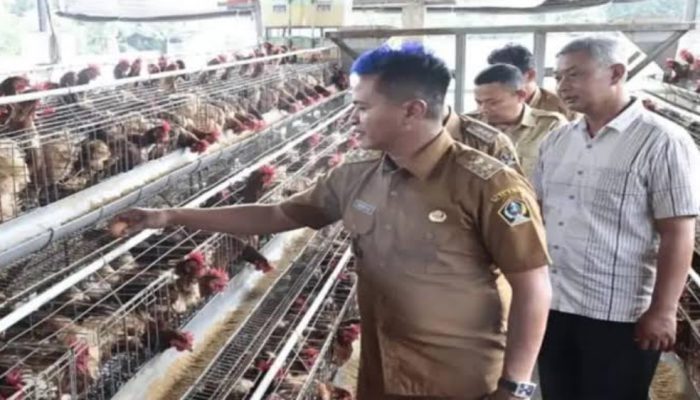 Blitar Produsen Telur Terbesar di Jatim, Kini Kembangkan Produk Olahan Tembus Pasar Ekspor