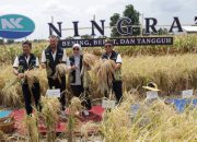 Syngenta Luncurkan Benih Padi Hibrida Ningrat NK2133 Dukung Swasembada Beras