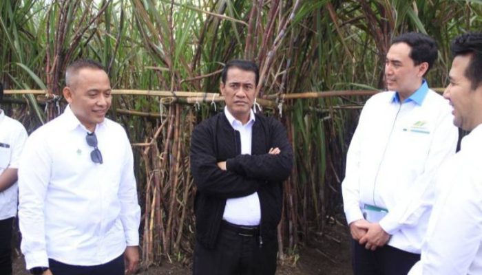 Danantara Indonesia Alokasikan Rp1,5 Triliun untuk Pembelian Gula Pasir Petani yang Belum Terjual