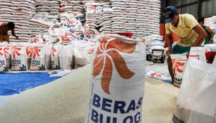 Wamen Pertanian Pastikan Stok Beras Nasional Aman di Tengah Panic Buying