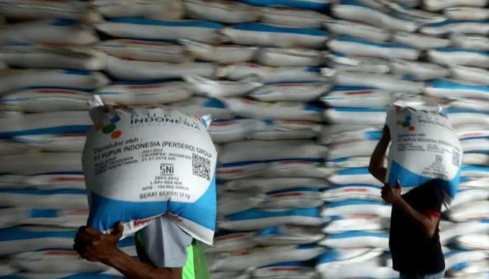 Stok Pupuk Subsidi Aman hingga Akhir 2025, Pemerintah Optimistis Swasembada Beras