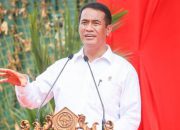 Mentan Amran: Pasokan Beras Nasional Aman, Harga Turun, Masyarakat Tidak Perlu Panik