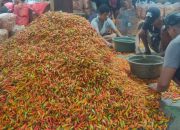 Harga Cabai Rawit di Kediri Kembali Melonjak, Pasokan Mulai Menipis