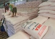 Tuban Perketat Distribusi Pupuk Subsidi, Kios Wajib Patuh e-RDKK