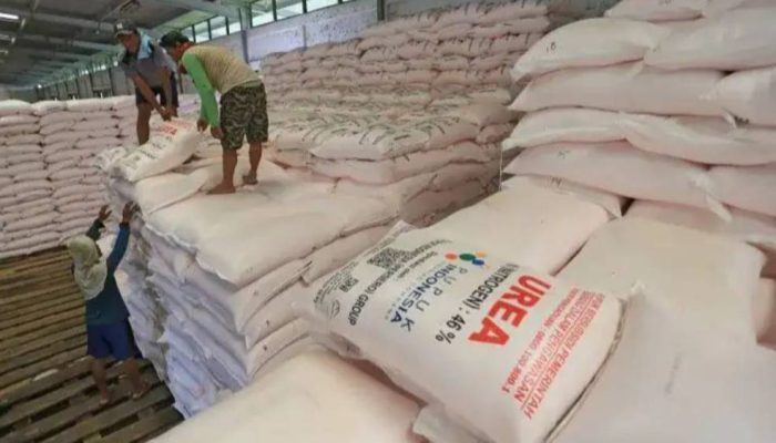 Tuban Perketat Distribusi Pupuk Subsidi, Kios Wajib Patuh e-RDKK