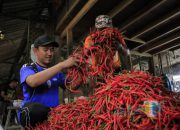 Harga Cabai Keriting di Kediri Meroket Rp9.000