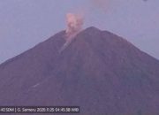 Gunung Semeru Kembali Erupsi, Kolom Abu Capai 800 Meter, Warga Diminta Tingkatkan Kewaspadaan