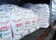 Kementan Pastikan Ketersediaan 9,55 Juta Ton Pupuk Subsidi Tahun 2026