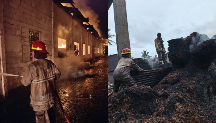 Gudang Tembakau di Jelbuk Jember Terbakar, Kerugian Ditaksir Rp31 Miliar
