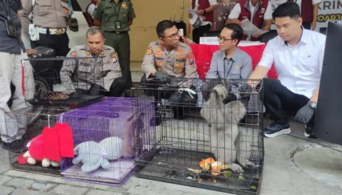 Polresta Sidoarjo Ungkap Perdagangan Satwa Langka, Diduga Terkait Pasar Gelap Internasional