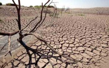 Jadwal Kemarau 2026 Dirilis BMKG, Datang Lebih Cepat dari Normal