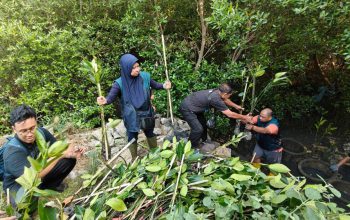 TPS Salurkan 3.000 Bibit Mangrove untuk Penghijauan Pesisir Sontoh Laut