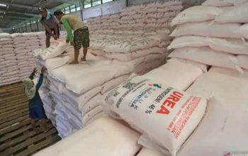 Indonesia Kantongi Potensi Ekspor Pupuk Urea Rp7 Triliun dari Australia