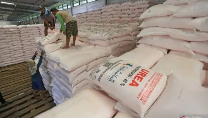 Indonesia Kantongi Potensi Ekspor Pupuk Urea Rp7 Triliun dari Australia