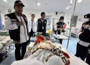 BPJS Kesehatan Tekankan JKN Aktif untuk Kelancaran Ibadah Haji