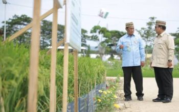 Ketahanan Pangan Menguat, NTP Pecahkan Rekor 34 Tahun di Era Prabowo
