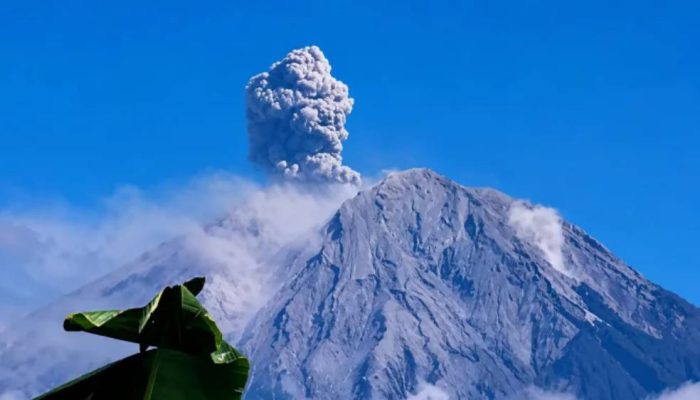 Gunung Semeru Erupsi Lima Kali, Letusan Tertinggi Capai 1,2 Kilometer