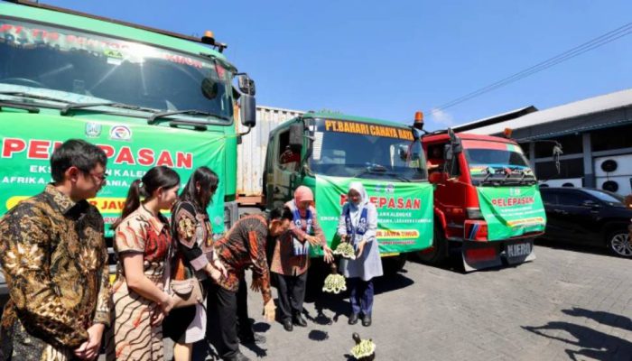 Banyuwangi, ekspor, 270 ton sarden, Rp10 miliar, dan pasar dunia.