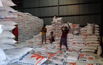 Produksi Padi Melimpah, Banyuwangi Amankan Stok Beras Nasional hingga 129 Ribu Ton