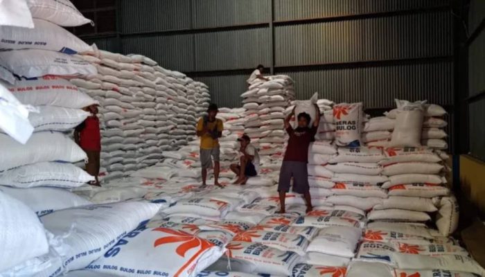 Produksi Padi Melimpah, Banyuwangi Amankan Stok Beras Nasional hingga 129 Ribu Ton