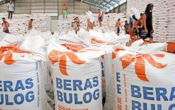 BULOG Serap 3,5 Juta Ton Beras, Tinggal 13 Persen Lagi Capai Target Nasional
