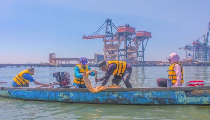 TTL dan BRIN Sinergi Hadirkan Data Ilmiah untuk Pelestarian Ekosistem Teluk Lamong
