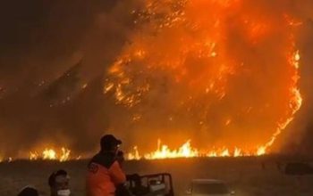 Api Terus Meluas, Wisata Gunung Bromo Ditutup Mulai Sabtu Malam