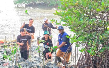 Dukung Pelestarian Pesisir, TPS Serahkan 3.000 Bibit Mangrove ke DLH Kota Surabaya