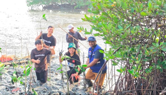 Dukung Pelestarian Pesisir, TPS Serahkan 3.000 Bibit Mangrove ke DLH Kota Surabaya