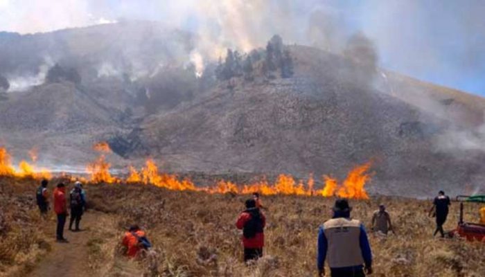 Bromo Kembali Dibuka 20 Agustus, Pemerintah Ingatkan Risiko Kebakaran