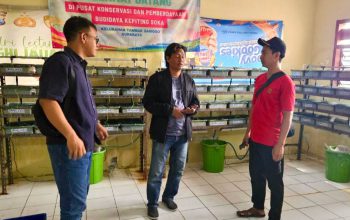 Pemberdayaan Nelayan Bawa Terminal Teluk Lamong Raih Gold TJSL & CSR Award 2026