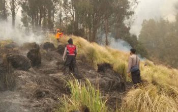 Usut Penyebab Karhutla Bromo, Kemenhut Terjunkan Tim Khusus dan Tim Ahli