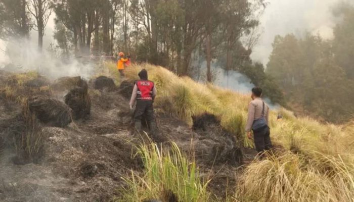 Usut Penyebab Karhutla Bromo, Kemenhut Terjunkan Tim Khusus dan Tim Ahli