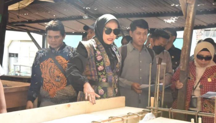 Proyek Pasar Taman Molor dan 0 Persen, Wabup Sidoarjo Mimik Idayana Ancam Putus Kontrak Kontraktor