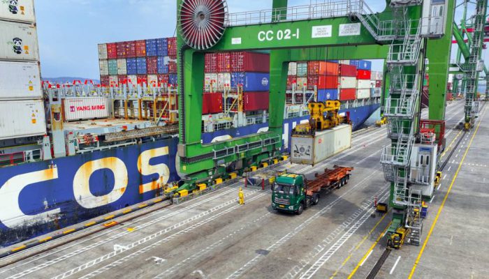 Arus Petikemas Tumbuh 12,38 Persen, Kinerja TTL hingga Agustus 2026 Makin Positif