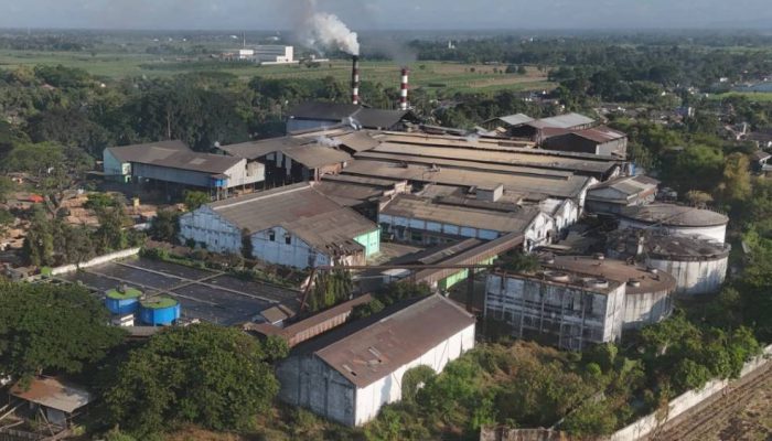 PG Ngadiredjo Pastikan Penyerapan Tebu Petani Berjalan Lancar di Musim Giling 2026