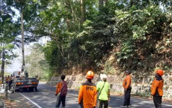 BPBD Jember Tangani Retakan Jalan 30 Meter di Gunung Gumitir, Antisipasi Longsor