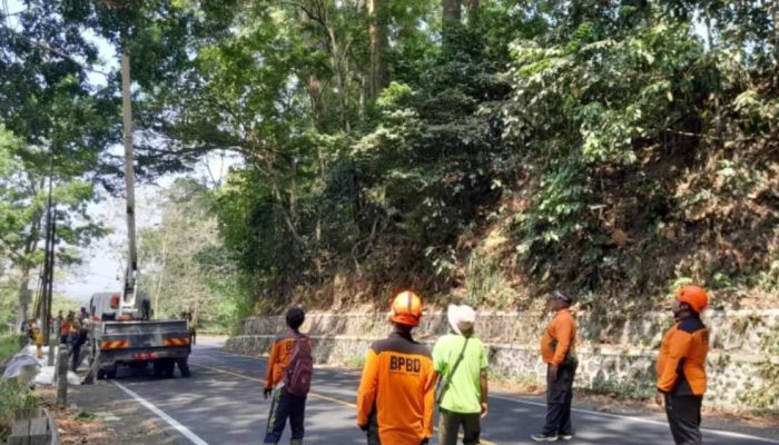 BPBD Jember Tangani Retakan Jalan 30 Meter di Gunung Gumitir, Antisipasi Longsor