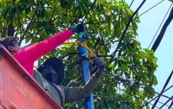 Pemkot Surabaya Tertibkan Tiang dan Kabel Ilegal di 23 Ruas Jalan, 116 Tiang Dibongkar