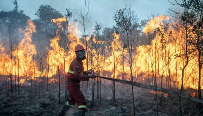 Karhutla Jatim Capai 7.363 Hektare, TN Baluran Terbakar 2.970 Hektare